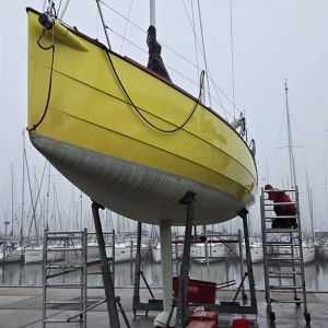 Totale Renskib behandeling